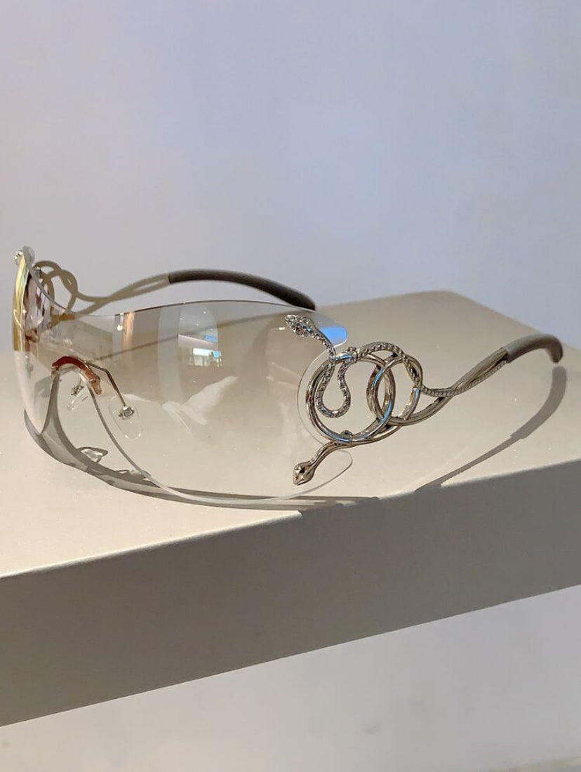 Integrated Fashion Glasses