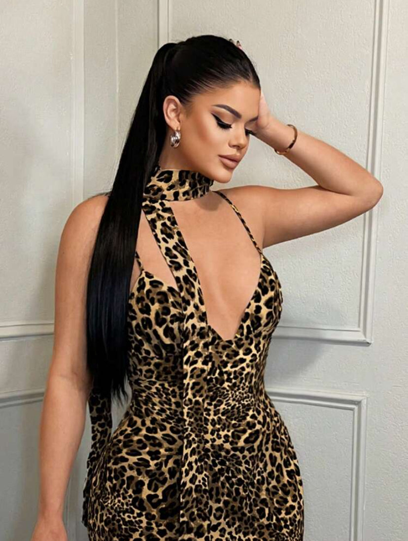 Leopard Print Dress