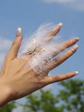 Angel Feather Ring